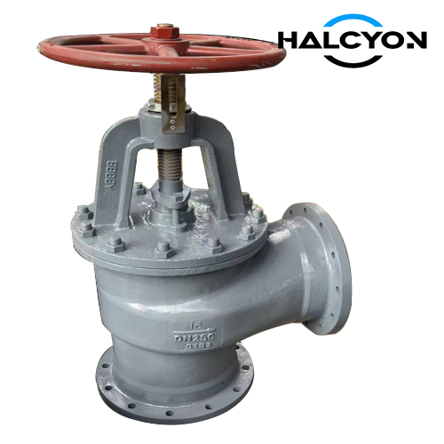 Marine Screw Down Non-Return Valve